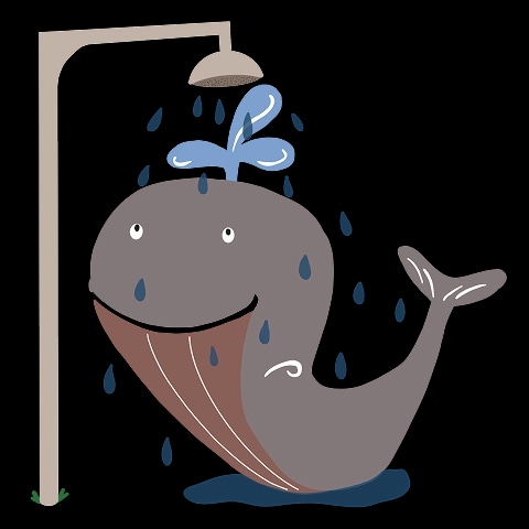 30 °C warmes Wasser im Variobecken